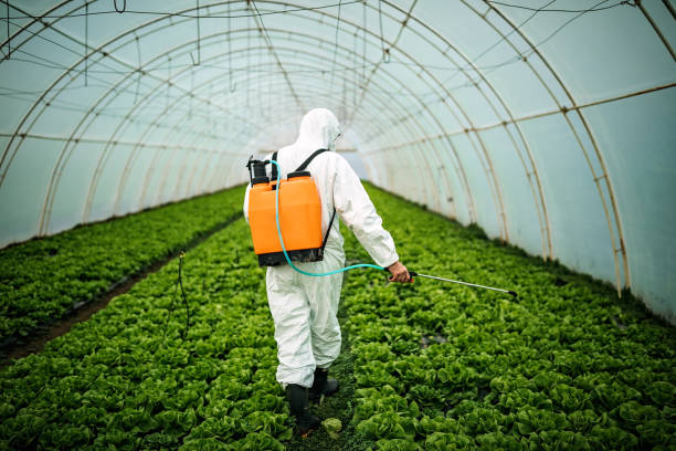 Best Pest Removal Services  in Baldwin, NY