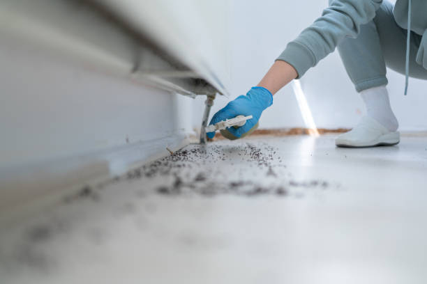 Best Pest Prevention Services  in Baldwin, NY